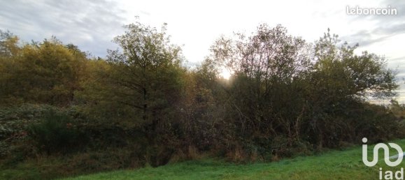 Земельный участок 6786м² в Вильфранш-сюр-Шер, Франция № 157897 4