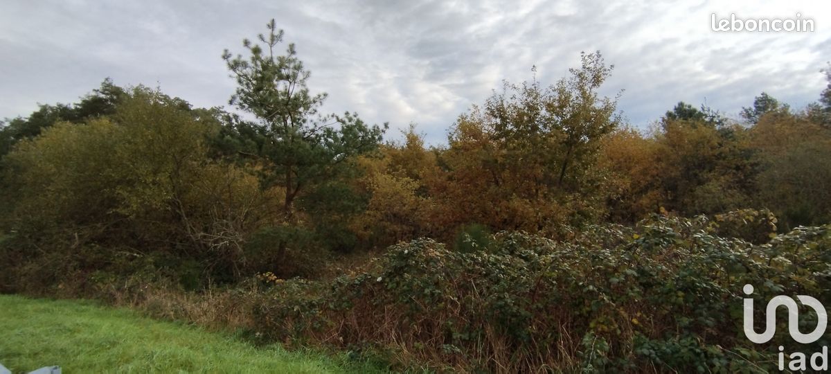 Земельный участок 6786м² в Вильфранш-сюр-Шер, Франция № 157897