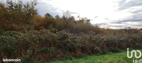 Земельный участок 6786м² в Вильфранш-сюр-Шер, Франция № 157897 3