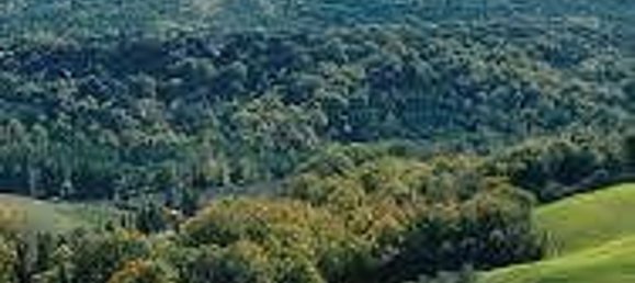 3 rooms House in Pomarance, Italy No. 92506 12