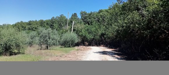 11 rooms House in Todi, Italy No. 170353 12