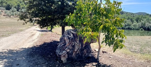 11 rooms House in Todi, Italy No. 170353 11