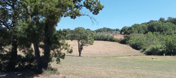 11 rooms House in Todi, Italy No. 170353 14