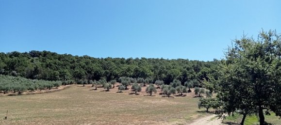 11 rooms House in Todi, Italy No. 170353 15