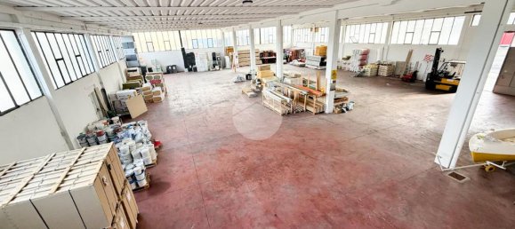 2غرفة عقار تجاري في Romano di Lombardia, Italy رقم 361681 4