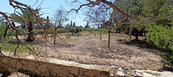 Casa T3 em San Vicente del Raspeig, Spain N.º 151729 32