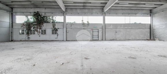 2-Zimmer Lagerhaus in Sant'Angelo Lodigiano, Italy, Nr. 225940 5