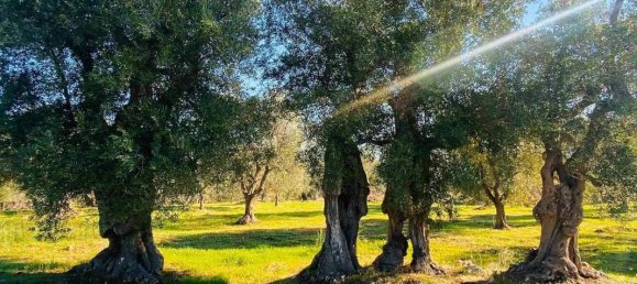 Дом с 6 комнатами в Каровиньо, Италия № 80169 24