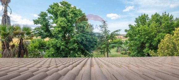 Villa T6 em Grammichele, Italy N.º 166456 9