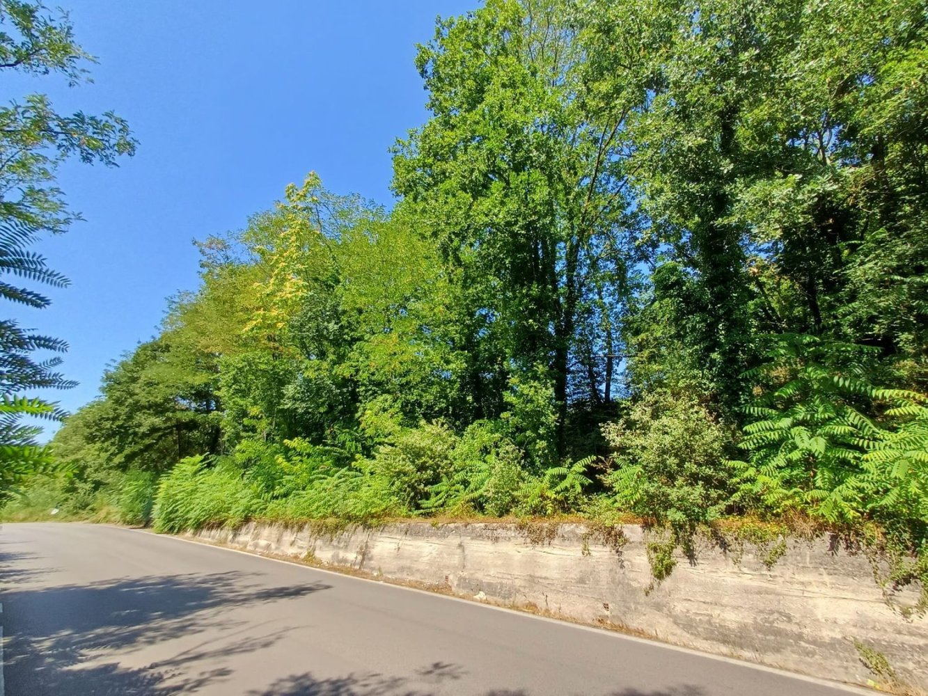 4500m² Land in Cassino, Italy No. 273088