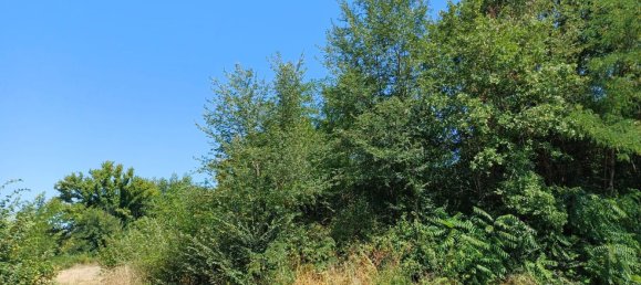 4500m² Land in Cassino, Italy No. 273088 4