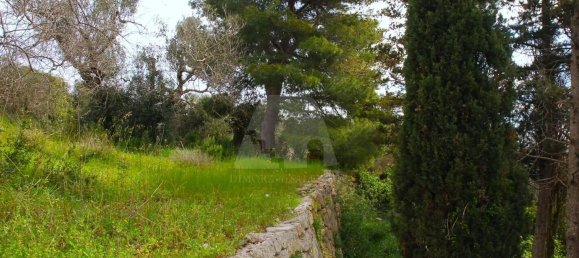 3غرفة فيلا في Castrignano del Capo, Italy رقم 41915 21