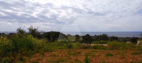 3غرفة فيلا في Castrignano del Capo, Italy رقم 41915 9