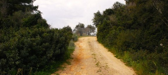 3غرفة فيلا في Castrignano del Capo, Italy رقم 41915 27