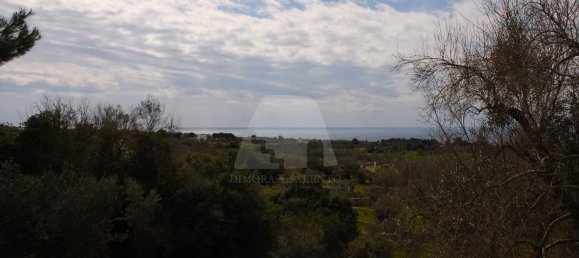 3غرفة فيلا في Castrignano del Capo, Italy رقم 41915 13