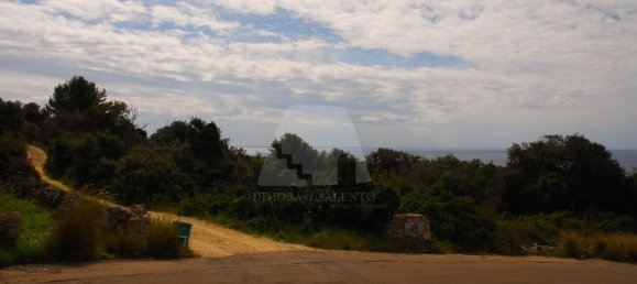 3غرفة فيلا في Castrignano del Capo, Italy رقم 41915 28