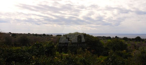 3غرفة فيلا في Castrignano del Capo, Italy رقم 41915 25