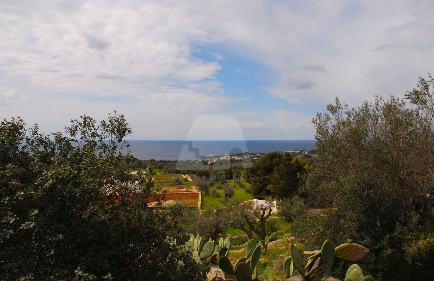 3غرفة فيلا في Castrignano del Capo, Italy رقم 41915