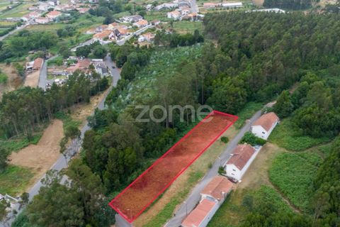 Земельный участок в Вила Нова ди Гая, Португалия № 219711