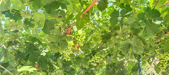 Casa T1 em Benamargosa, Spain N.º 36893 17