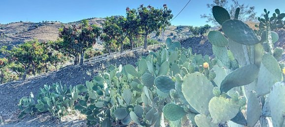 Casa T1 em Benamargosa, Spain N.º 36893 57