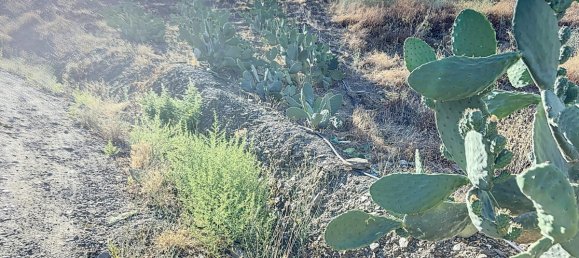 Casa T1 em Benamargosa, Spain N.º 36893 10