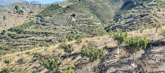 Casa T1 em Benamargosa, Spain N.º 36893 8