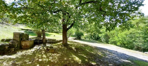 Casa de 4 dormitorios en Alpes-Maritimes, France No. 295056 16