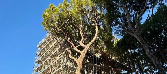 4 rooms Apartment in Jesolo, Italy No. 40080 22