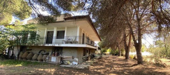 3 bedrooms Commercial property in Achaea, Greece No. 2049 16