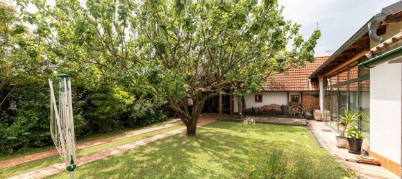 8 rooms House in Weiden am See, Austria No. 218828 19