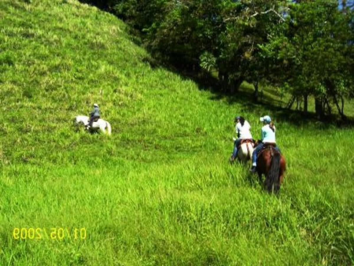 5 bedrooms House in Antioquia, Colombia No. 6110
