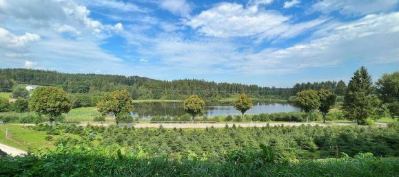 4غرفة منزل في Gross Gerungs, Austria رقم 89475 5