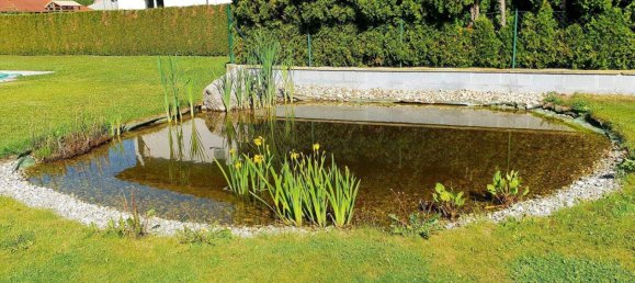 4-salle Maison à Schonau an der Triesting, Austria No. 244322 6