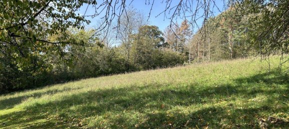 6غرفة منزل في Klosterneuburg, Austria رقم 251449 37