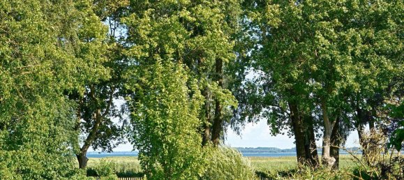 3 bedrooms House in Vorpommern-Rugen, Germany No. 258464 30