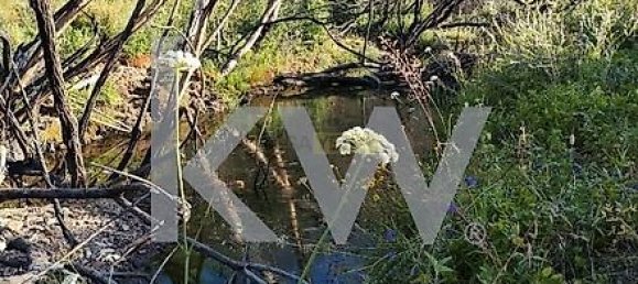 1750m² Land in Sao Teotonio, Portugal No. 34838 10