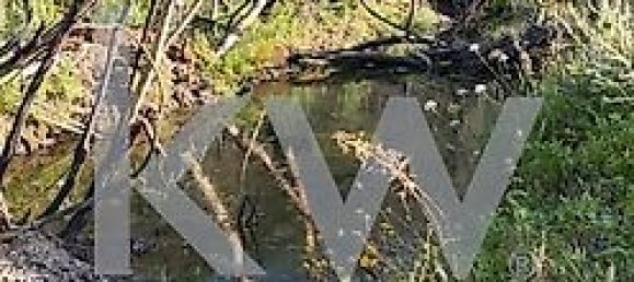 1750m² Land in Sao Teotonio, Portugal No. 34838 7