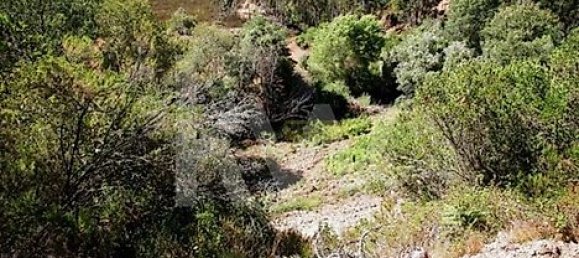 1750m² Land in Sao Teotonio, Portugal No. 34838 6