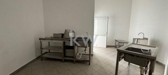 Propriété commerciale à Viseu, Portugal 169m² No. 60967 6