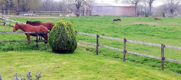 4 bedrooms House in Le Bignon-du-Maine, France No. 360555 5