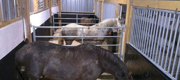 4 bedrooms House in Le Bignon-du-Maine, France No. 360555 12