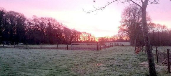 4 bedrooms House in Le Bignon-du-Maine, France No. 360555 3