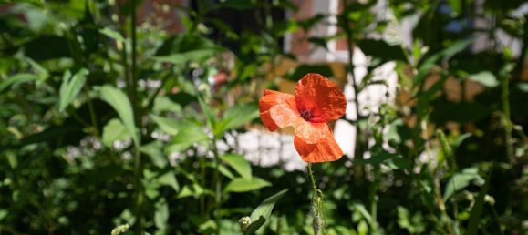 3غرفة فيلا في Gmunden, Austria رقم 142204 20