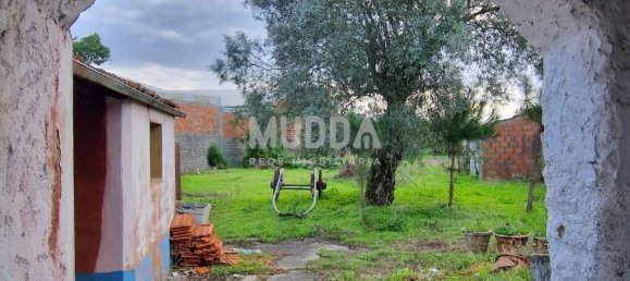 3 Schlafzimmer Haus in Praia de Mira, Portugal, Nr. 274074 12