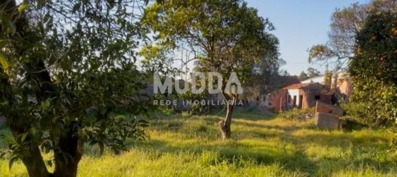 3 Schlafzimmer Haus in Praia de Mira, Portugal, Nr. 274074 14