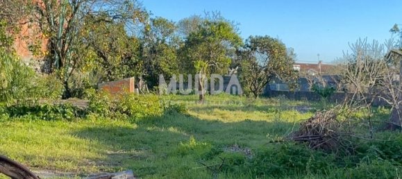 3 Schlafzimmer Haus in Praia de Mira, Portugal, Nr. 274074 15