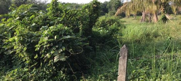 6240m² Commercial property in Khok Kloi, Thailand No. 8231 5