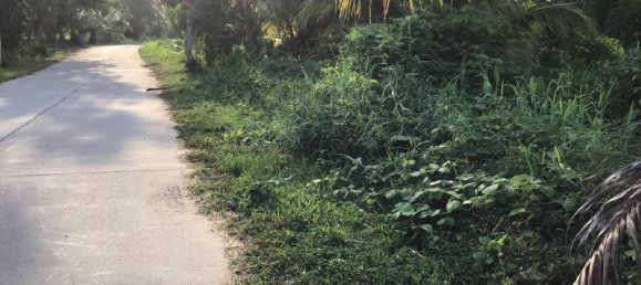 6240m² Commercial property in Khok Kloi, Thailand No. 8231 4