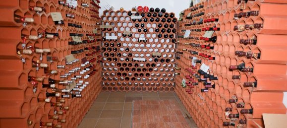 Casa de 6 dormitorios en Torre del Bierzo, Spain No. 95080 40